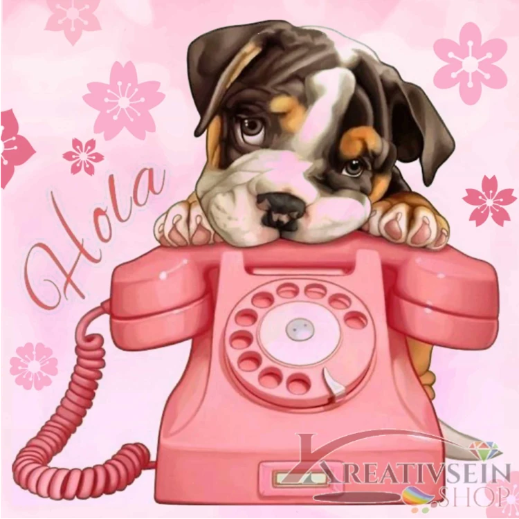 Malen nach Zahlen Set kaufen – Süßer Welpe mit rosa Retro Telefon