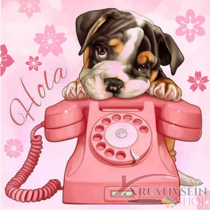 Malen nach Zahlen Set kaufen – Süßer Welpe mit rosa Retro Telefon
