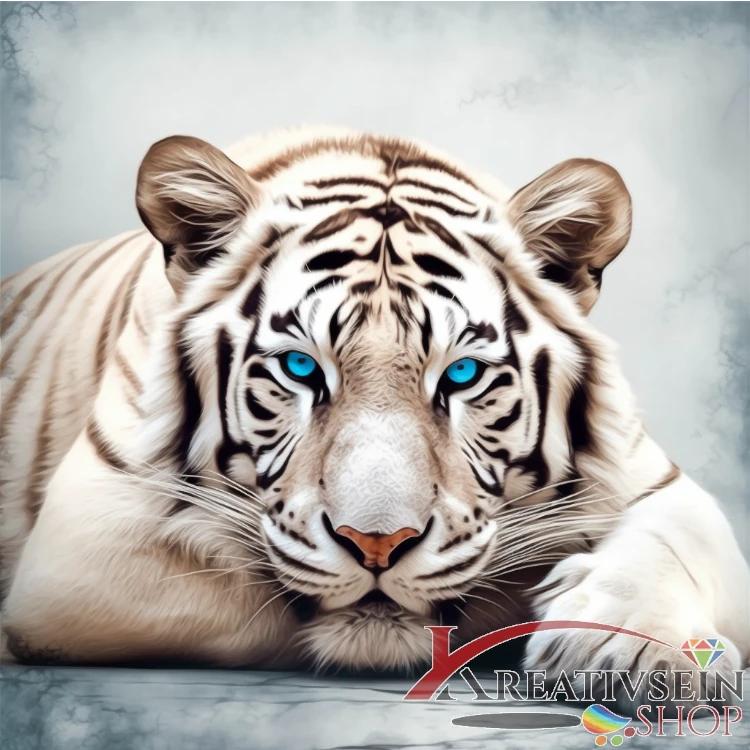 Malen nach Zahlen Weisser tiger mit blauen Augen